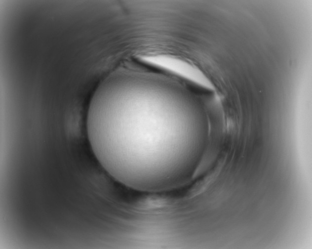 X0000088480416200706051404