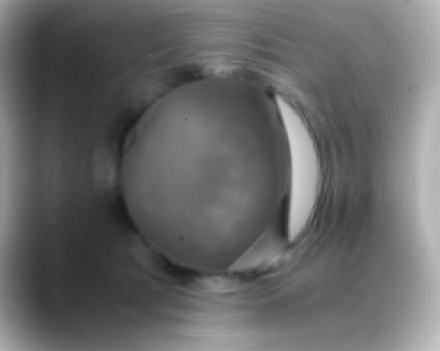 X0000088480417200706051404