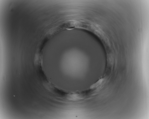 X0000088480419200706051404
