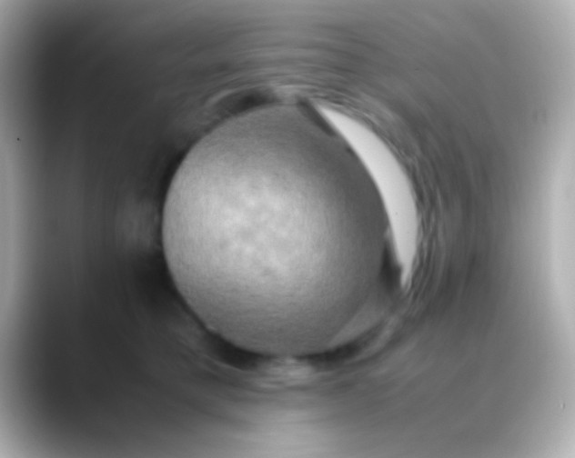 X0000088480421200706051404