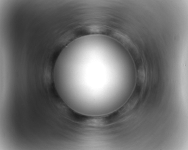 X0000088480422200706051404
