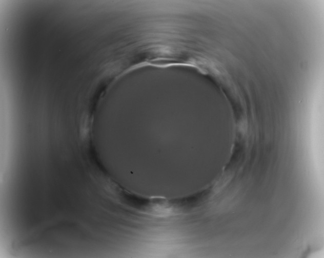 X0000088480423200706051404
