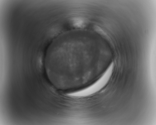 X0000088480424200706051404