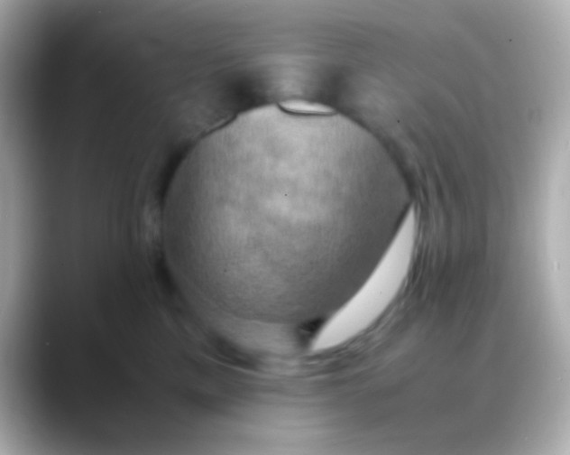 X0000088480425200706051404