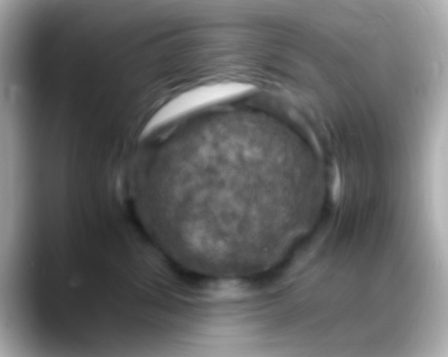 X0000088480428200706051404