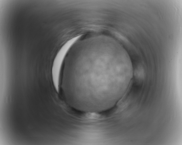X0000088480429200706051404