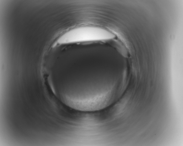 X0000088480434200706051403