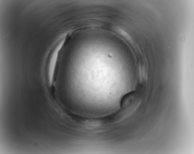 X0000088480435200706051403