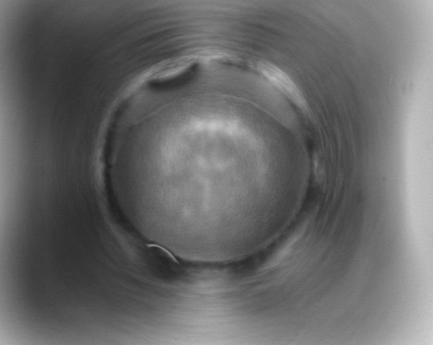 X0000088480436200706051403