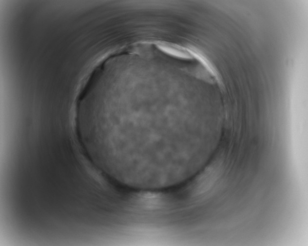 X0000088480437200706051403