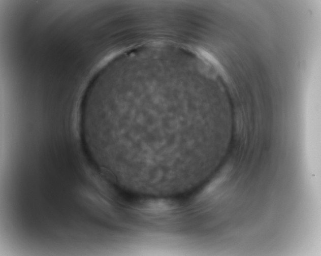 X0000088480439200706051403