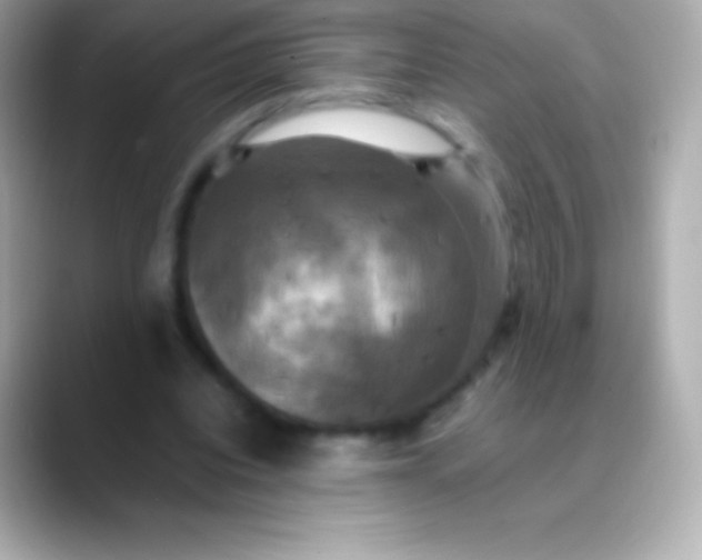 X0000088480440200706051403