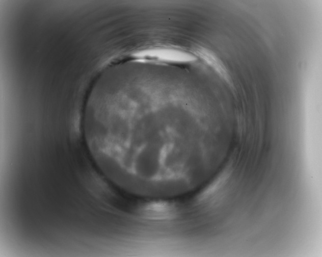 X0000088480441200706051403