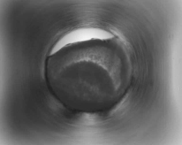 X0000088480442200706051403