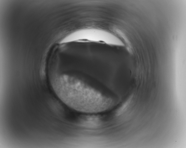 X0000088480443200706051403