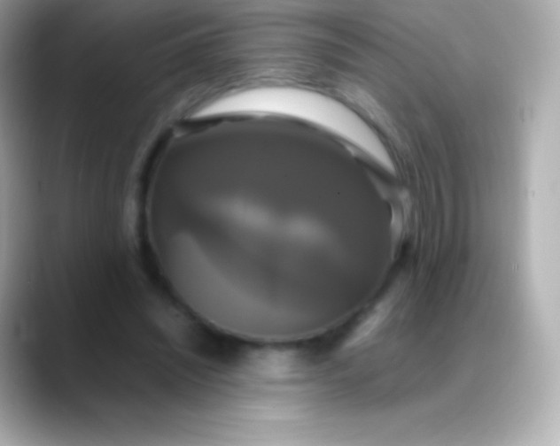 X0000088480444200706051403