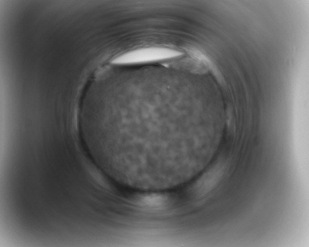 X0000088480445200706051403