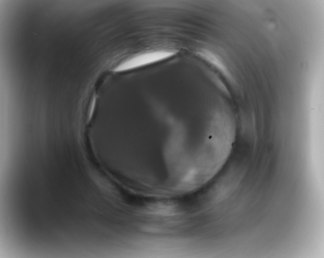 X0000088480447200706051403