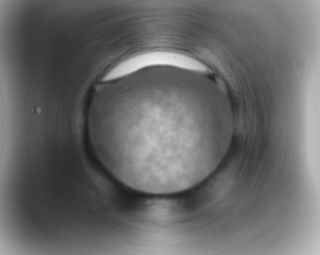 X0000088480448200706051403
