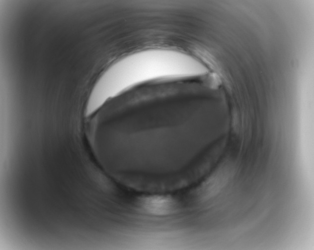 X0000088480449200706051403