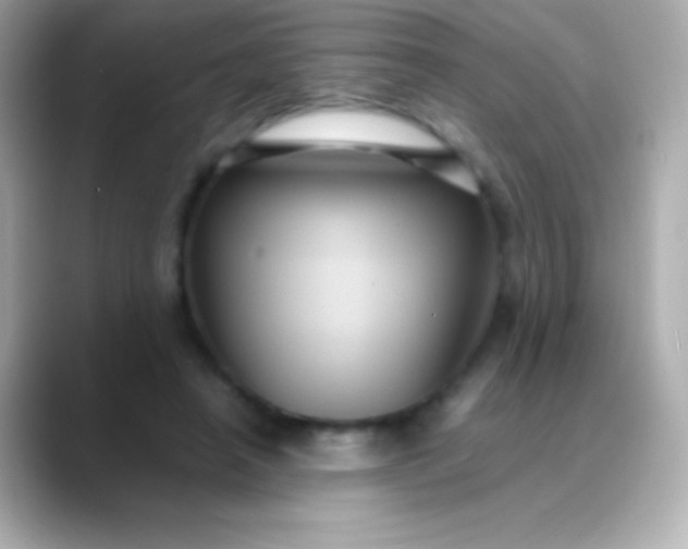 X0000088480450200706051403