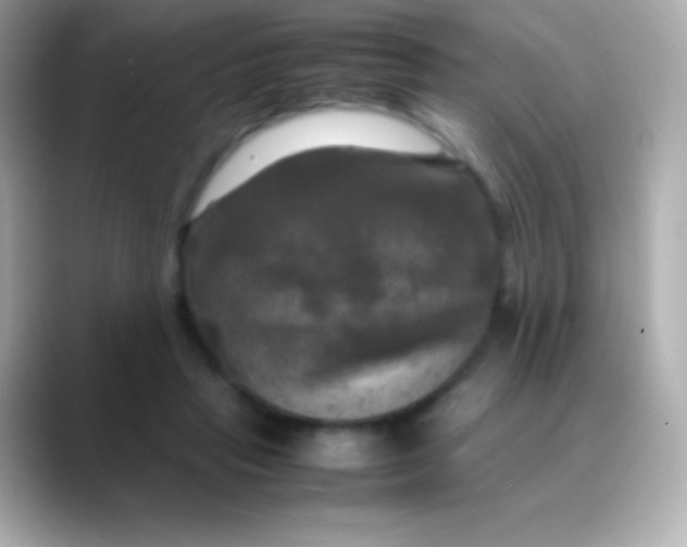 X0000088480453200706051403