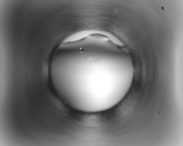 X0000088480454200706051403