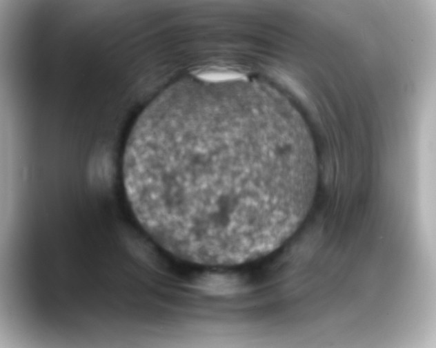 X0000088480455200706051403