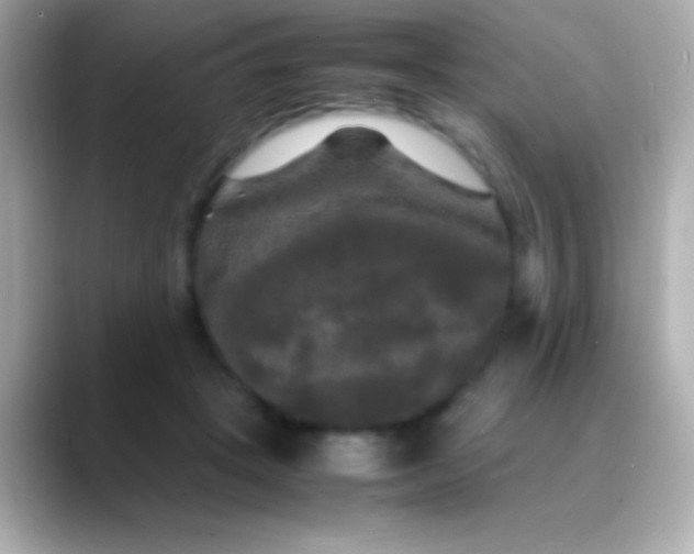 X0000088480457200706051403