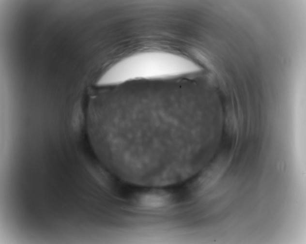 X0000088480459200706051403