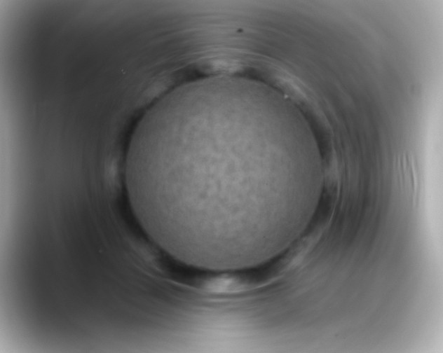 X0000088480460200706051403
