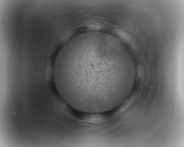 X0000088480463200706051403
