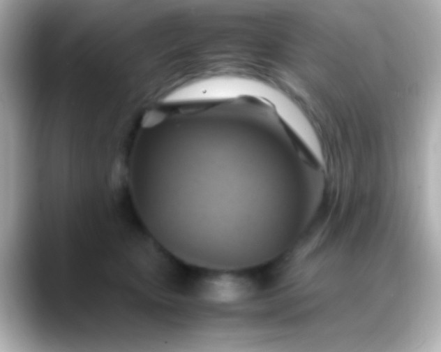 X0000088480467200706051403