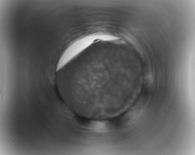 X0000088480469200706051403