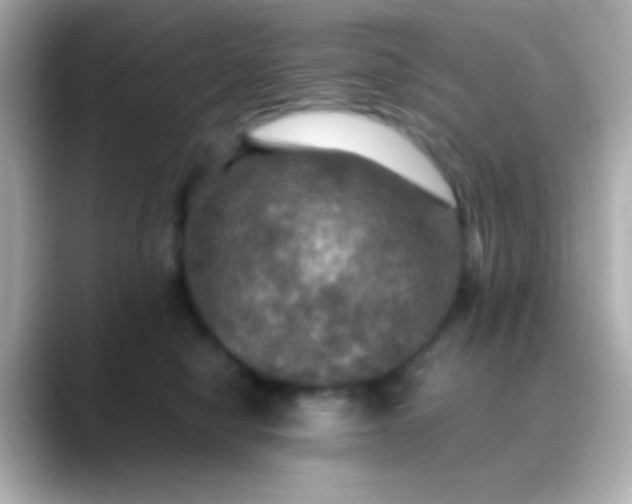 X0000088480470200706051403