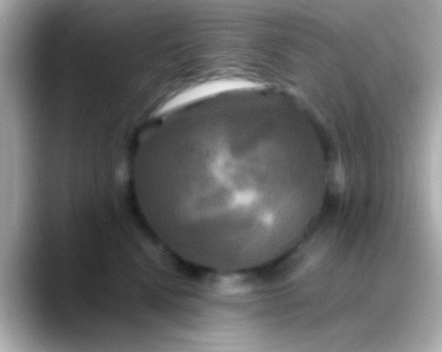 X0000088480472200706051403