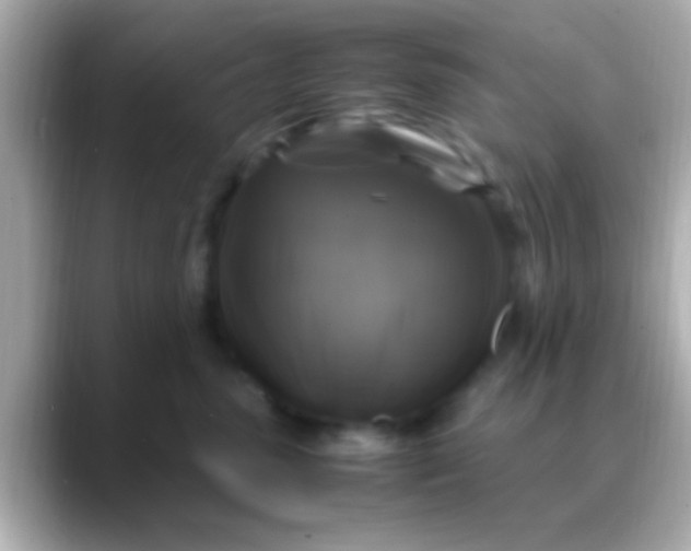 X0000088480475200706051403
