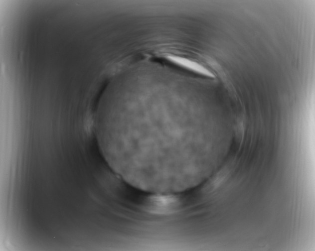 X0000088480477200706051403
