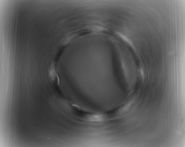 X0000088480479200706051403