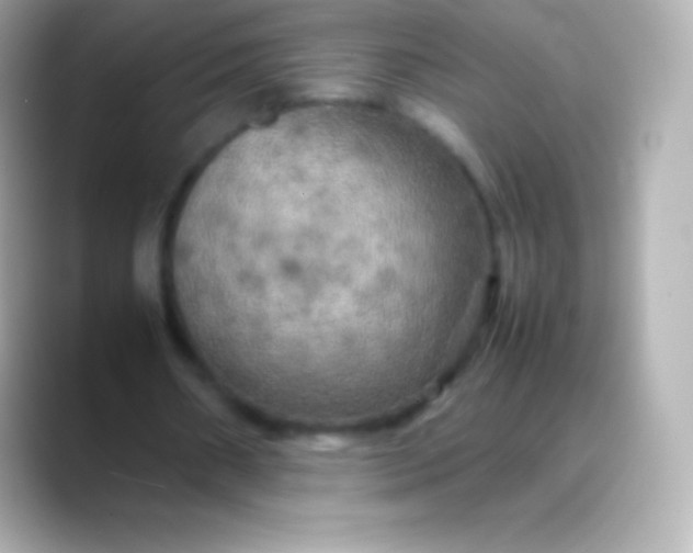 X0000088480482200706051403