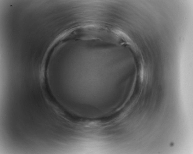 X0000088480484200706051403