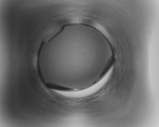 X0000088480485200706051403