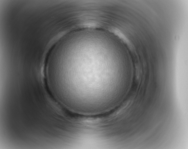X0000088480486200706051403