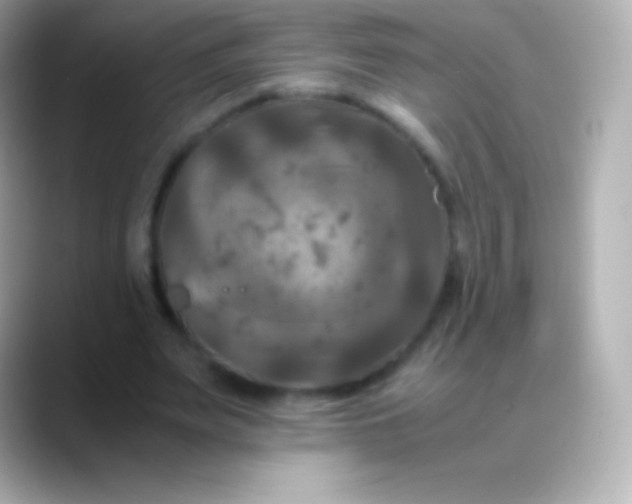 X0000088480487200706051403