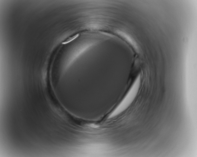 X0000088480488200706051403