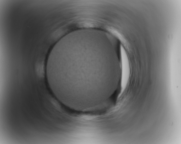 X0000088480489200706051403