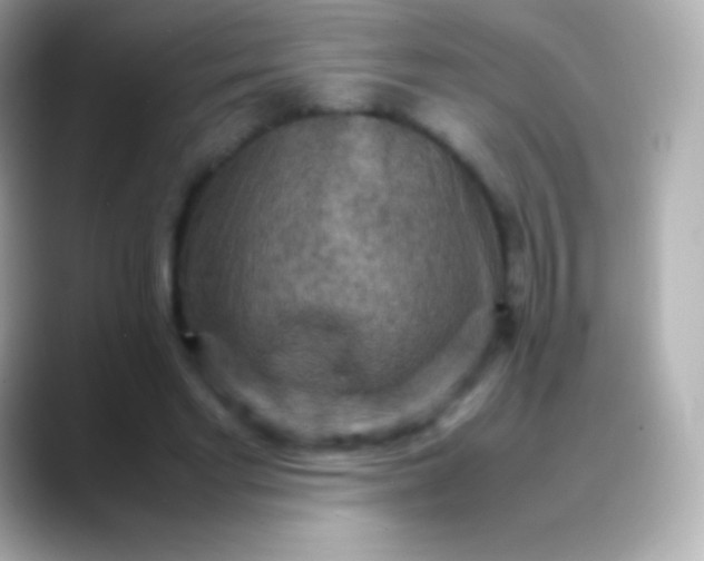 X0000088480493200706051403
