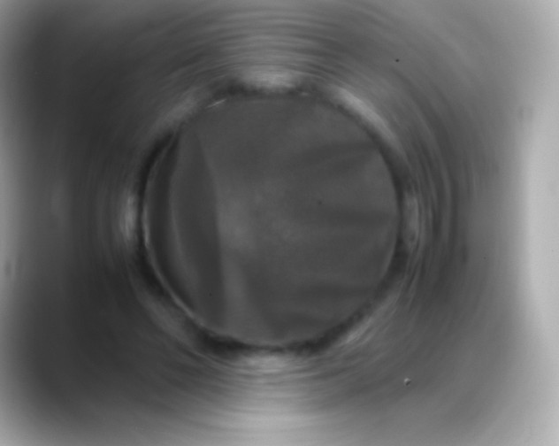 X0000088480494200706051403