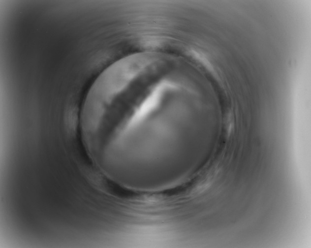 X0000088480495200706051403