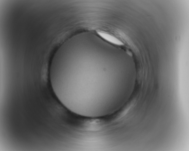 X0000088480497200706051403